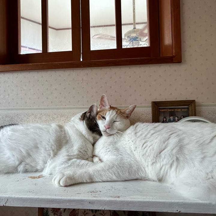 456d56f8 8268 4753 a285 bd3d0681a9e3 1693450257923