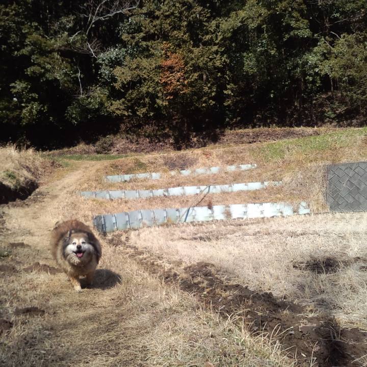 456d69cb 2159 4253 9c0a 63bb5f8ea5d1 1548201958534