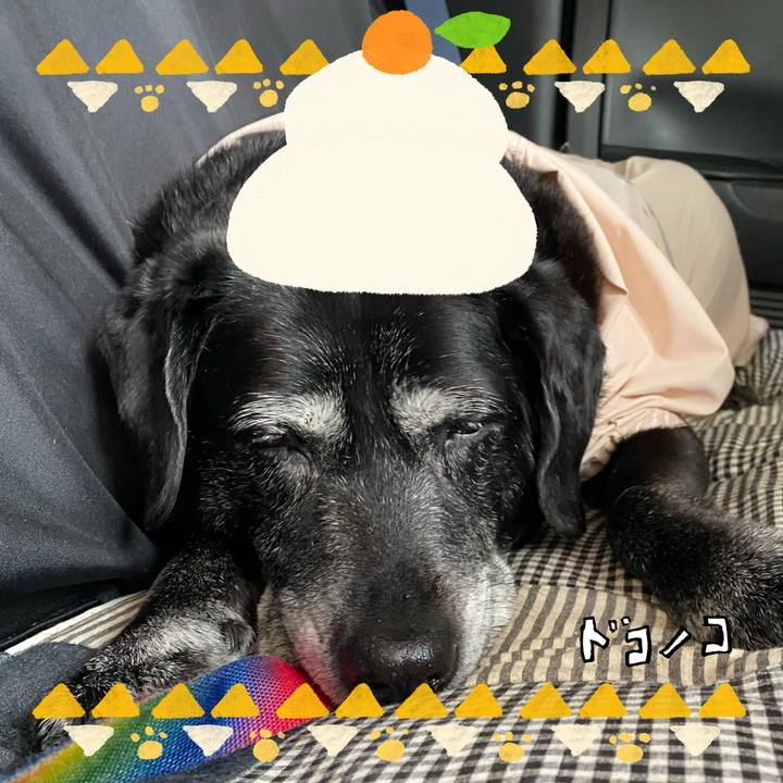 456d6bb8 5d16 4e4b 8b05 d009fc6c7344 1704095344057