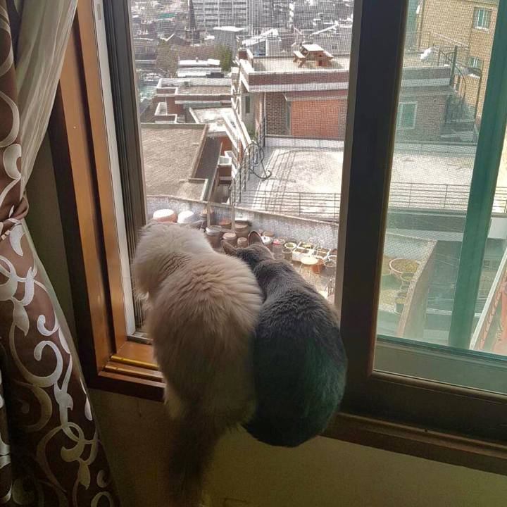 456d8e9d 05e7 4c8f a7e4 e04d51b0ad87 1585186110308