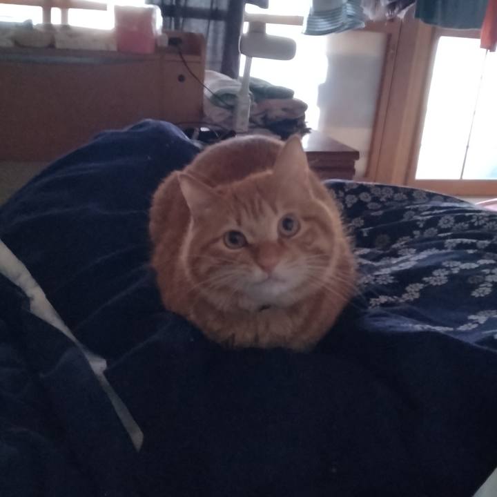 456da3a0 cebb 48b3 b777 b5696de1936e 1677626839763