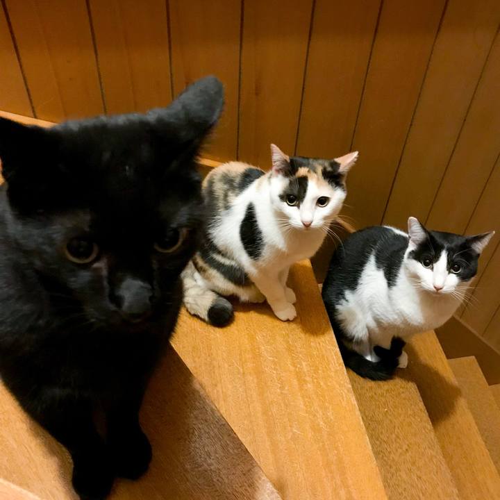 456da9c2 81cc 4234 b424 78688ad7b47b 1512217660393