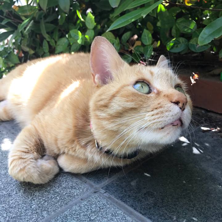 456dd1f5 8f8e 4f8d a991 eb815a47557a 1527140671560