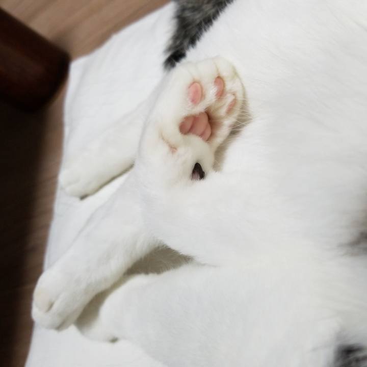 456dd2b9 b42c 424c ac05 ee5f62937af1 1569236403228