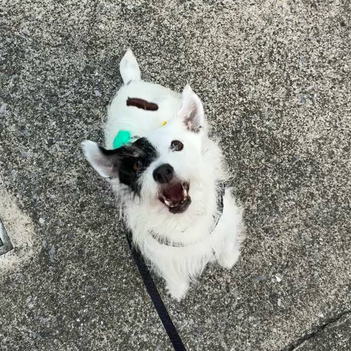 456dd662 dee2 4be5 b090 d8f61517212d 1759101472694