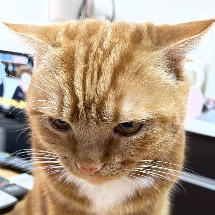 456de091 09ec 4238 93a7 a8a1b37b49b9 1673660801534