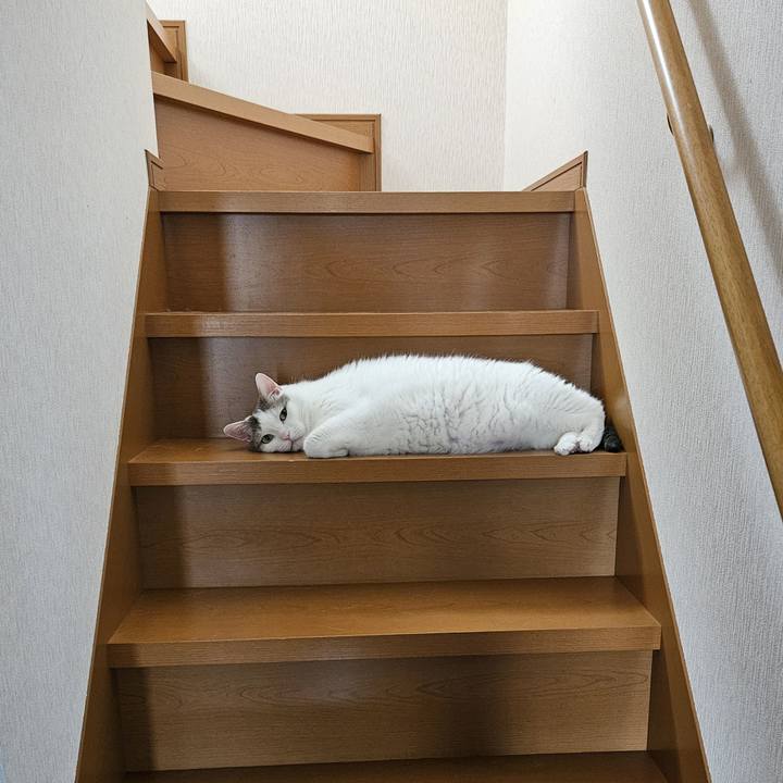 456de488 7abc 4498 a1ad 66ab10252063 1692680799960