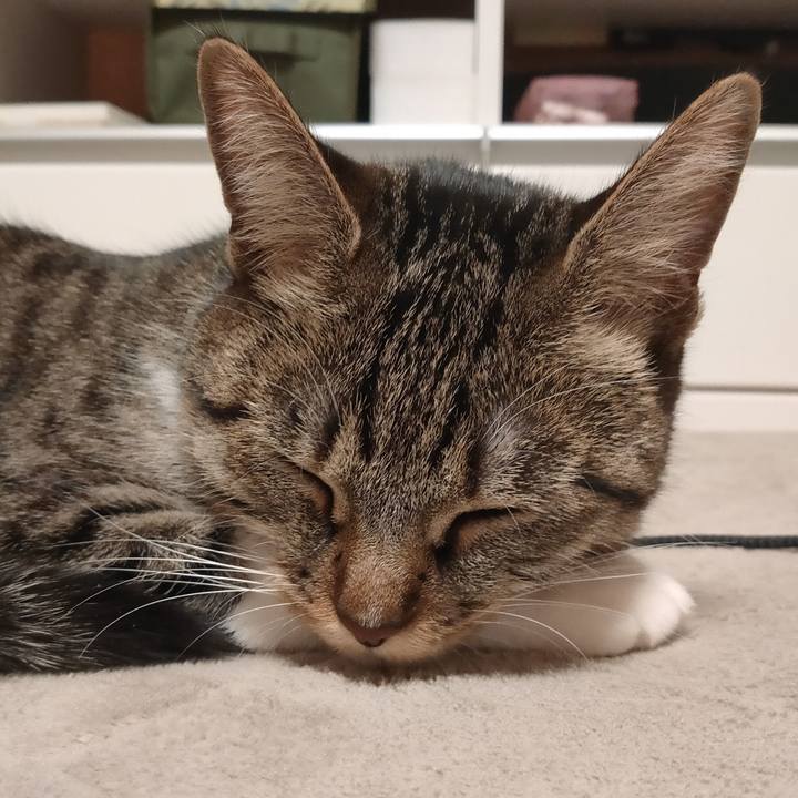 456e4620 9b31 4dfe 9f7c caf3c7842bff 1677674057872