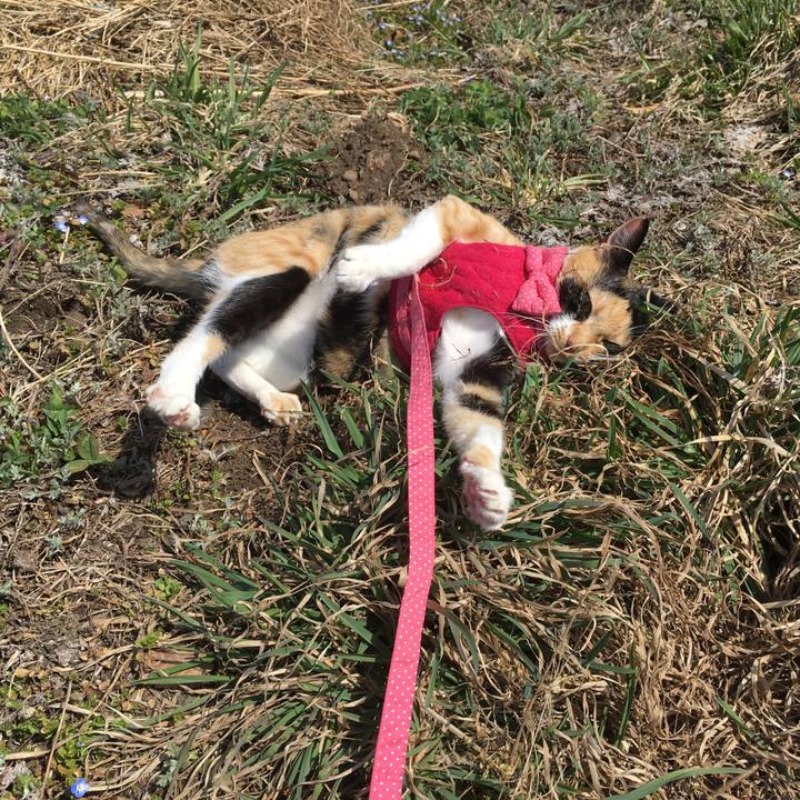 456e4adf 119c 42dd 8810 c8b95c7895b3 1522160438111