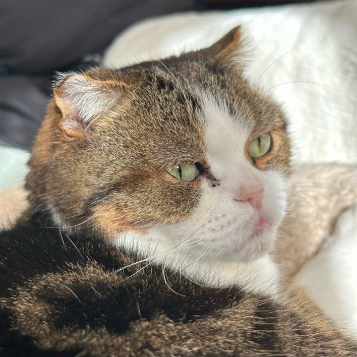 456e533e 9953 4181 a5b0 76e83bbecb7d 1765083516420