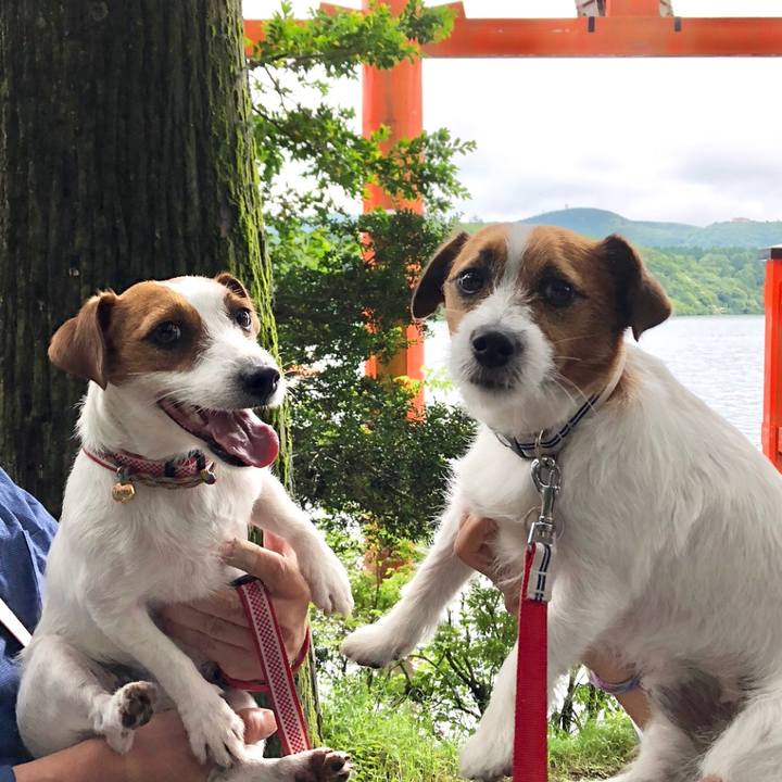 456e685d 657b 462c bc0d db50ad442391 1529852871415