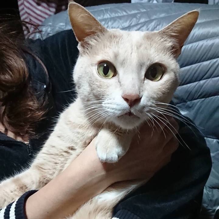 456e91d9 0492 41e2 9481 aeb16af129e6 1547035706196