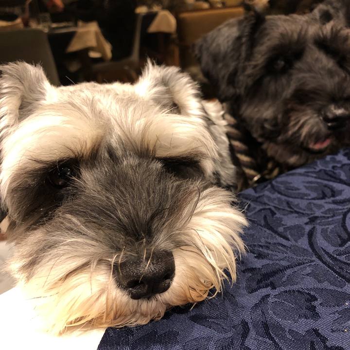 456f48d8 fbb7 4050 90d7 e5325d5569ba 1572083688563