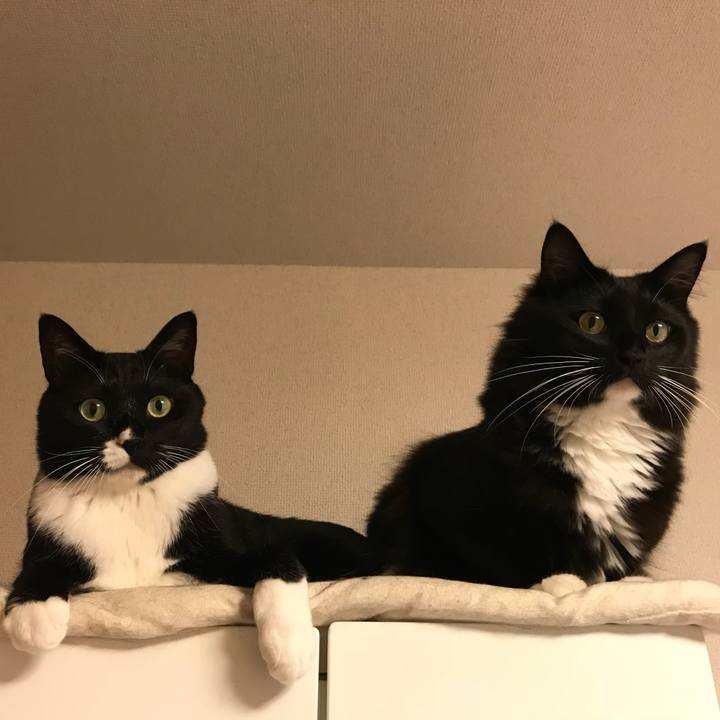 456f6e2e b149 43ff a4e8 a779197c14a0 1528600053373