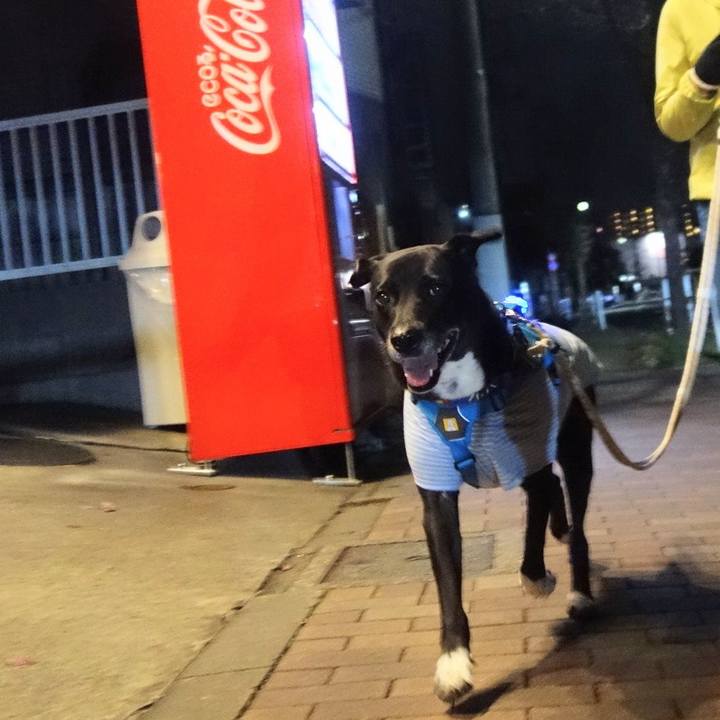 456f7894 1f2c 494a bcbb d8f27d10461b 1670412706305