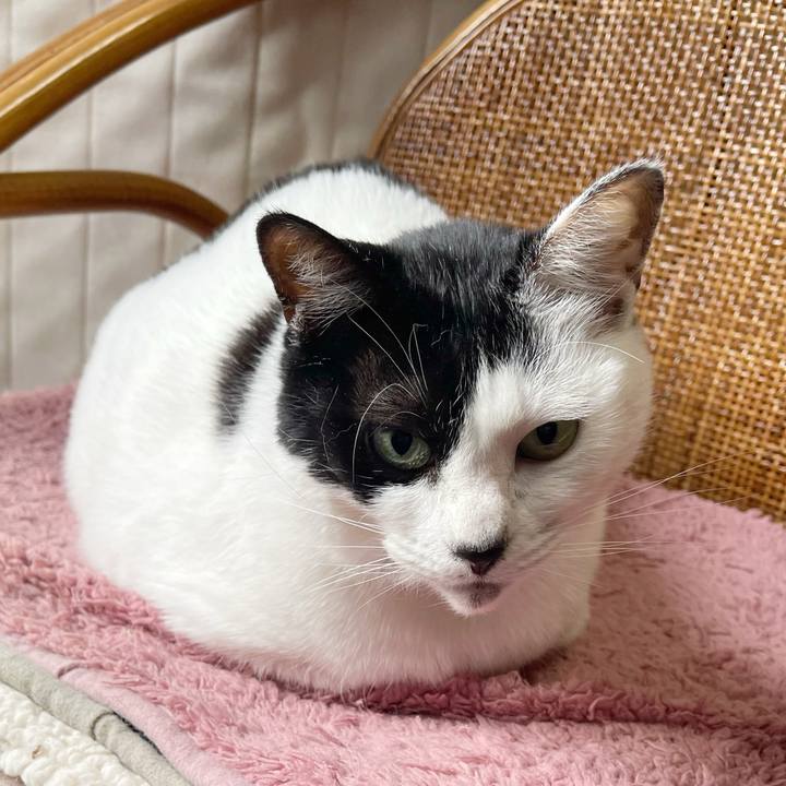 456fb79b d729 4a23 a3e6 8f79ac3b673d 1766098235639