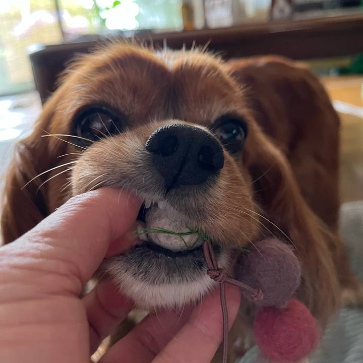 456fd003 6ce6 4f5b a935 c810e3682efd 1655763018537