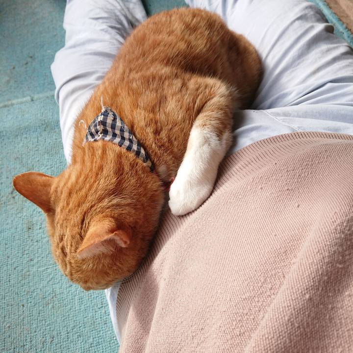 45703262 a34b 4fa0 987b 3fde9dee4497 1572156405489