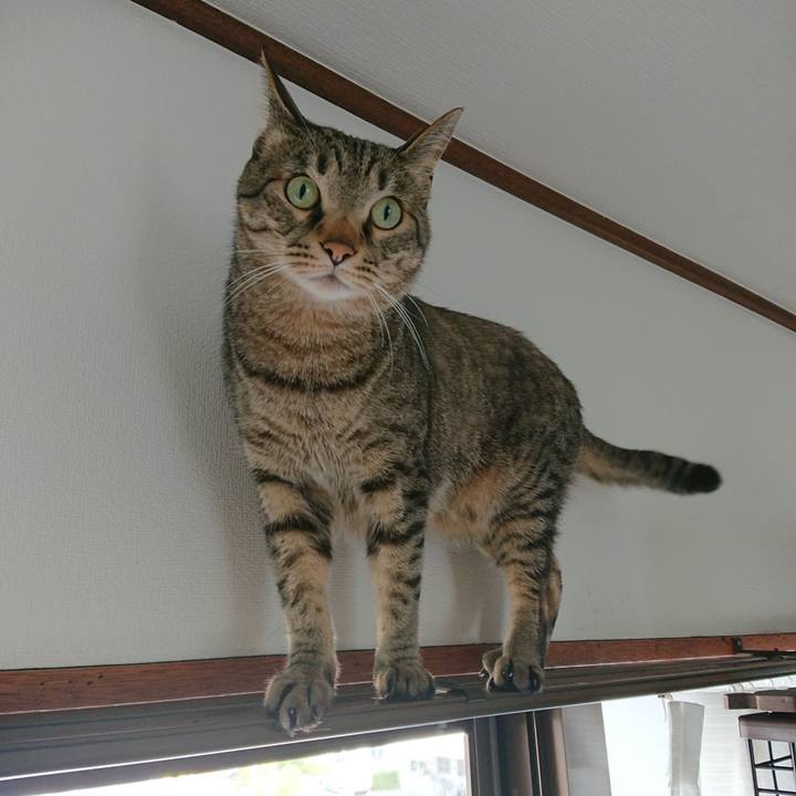 45704f42 1cbb 4898 a0b4 a9051b81618e 1590798729697