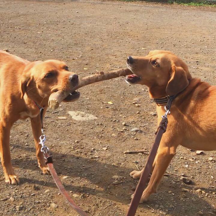 45706eb2 e3c6 4bef 8956 9f26b00d24d3 1551533644381