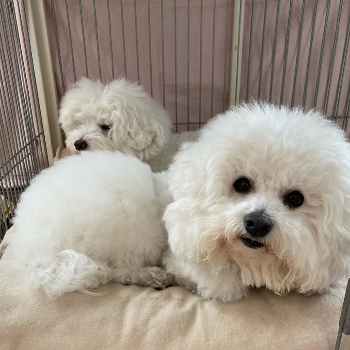 457074b1 e9d6 476d a968 ec1d5d3bf8a5 1605401685216