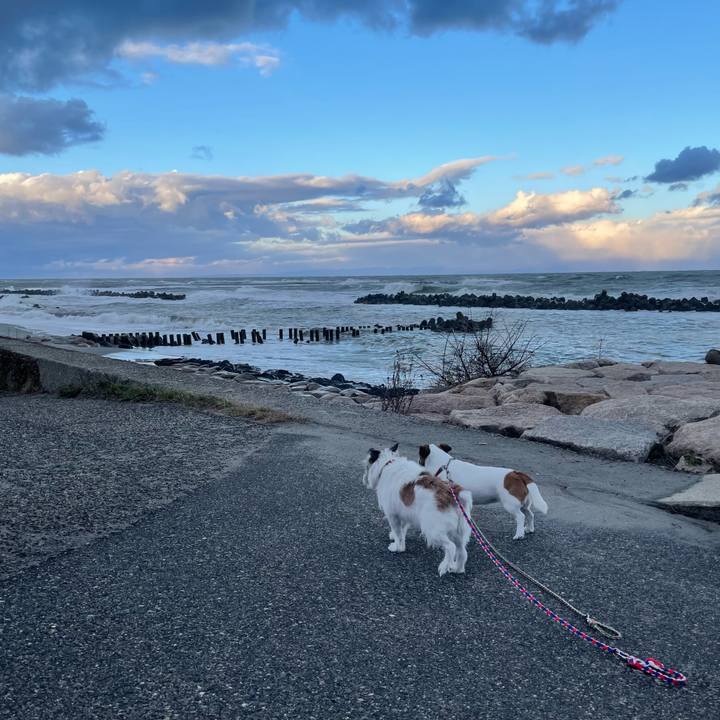 457088ad a9cf 48d1 91ed 90003a1fd0e8 1730932250951