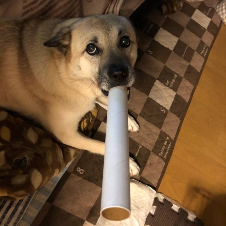 45711910 3ccf 497b 8c50 559c7ff89e02 1617195388417