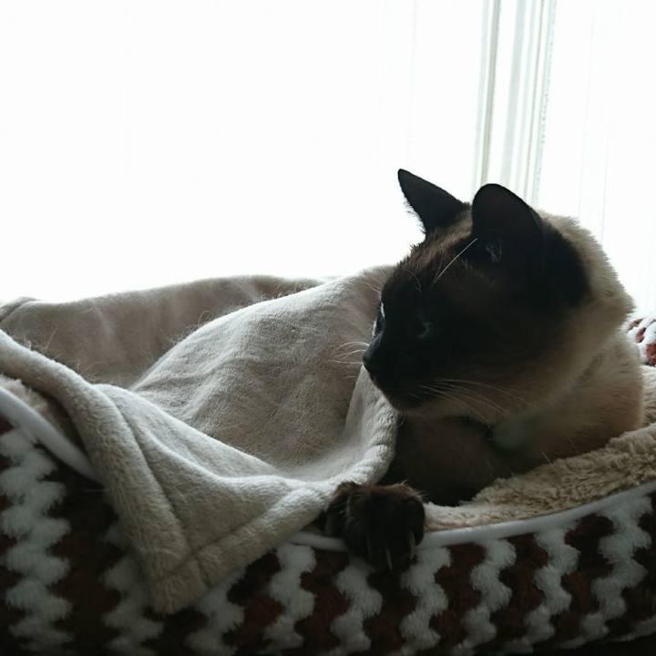 45711a69 f07e 4871 9a89 bfece3a412fc 1517361382539