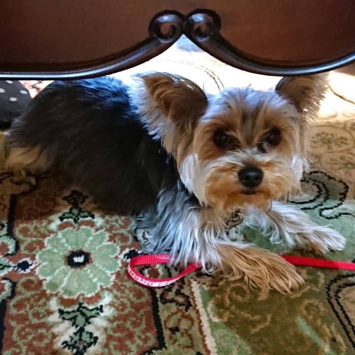 45711f95 a46d 4edb 8a67 3cfa53cc24ff 1547891245733