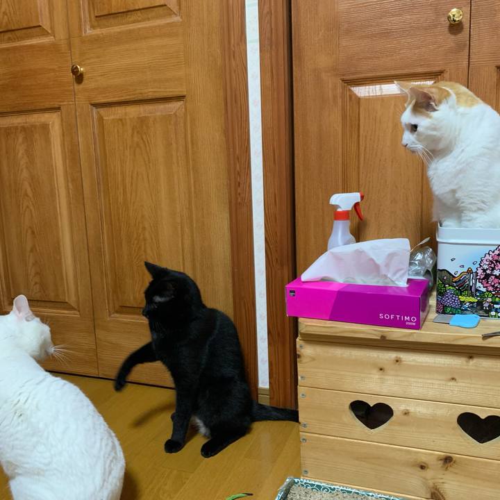 45713120 d577 4a13 ba06 d9538fc7439a 1627934665053