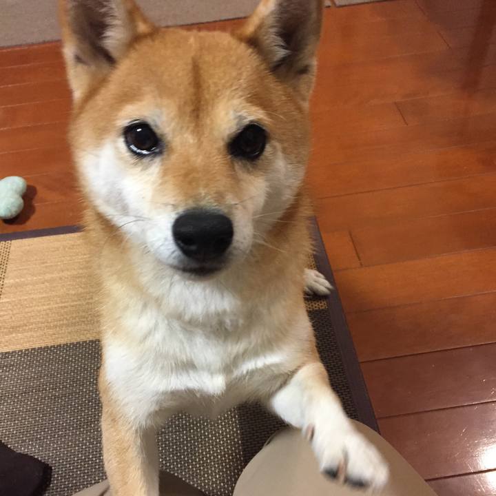 4571796e 6f8c 4363 8750 5a60f2571469 1510497222825