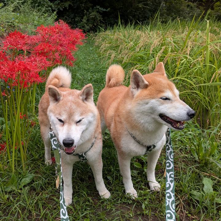 45719760 32ab 407f a981 8be745eb63d8 1759022648101