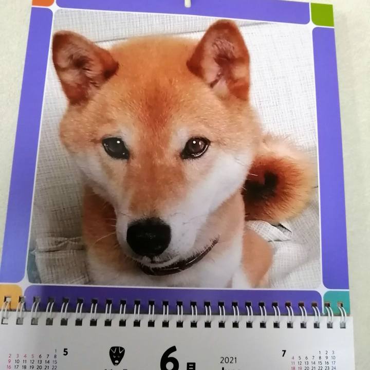 4571b353 d7e5 4bfa a129 d0254f894727 1622506542842