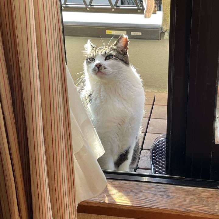 4571bbb3 b0b8 413c bcfc dc13ffa3314c 1669358544895