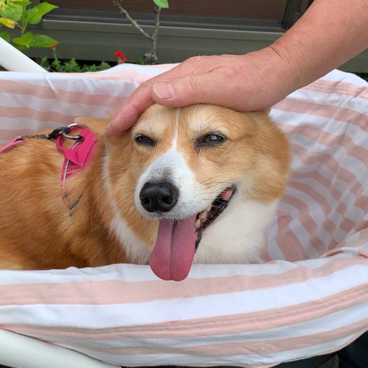 4571bd85 714b 46ea b207 f250dc03ee3c 1695777200531