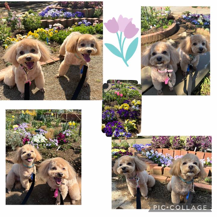 45723a1d a5e7 4ae7 a727 de19fe56a99c 1774074488943