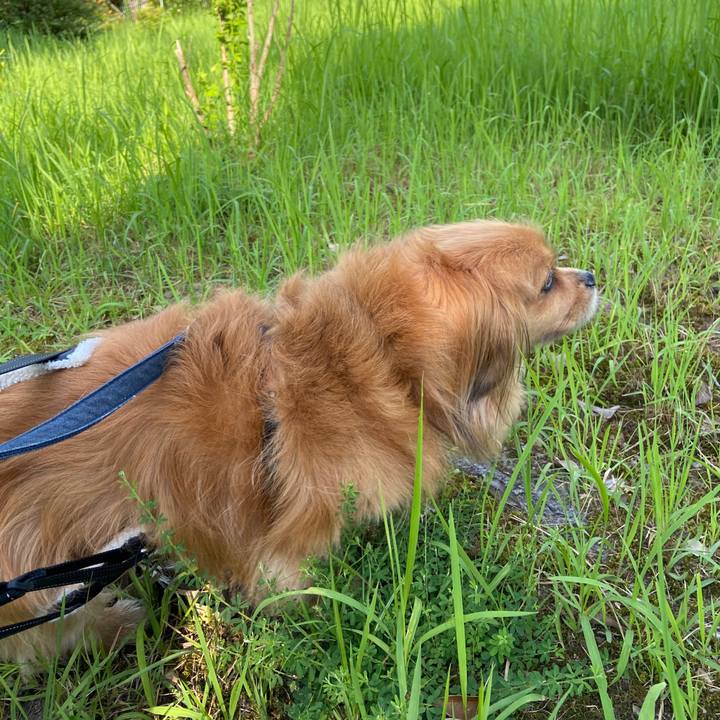 45726645 d033 4de6 a2e1 d714af08857c 1627166138838