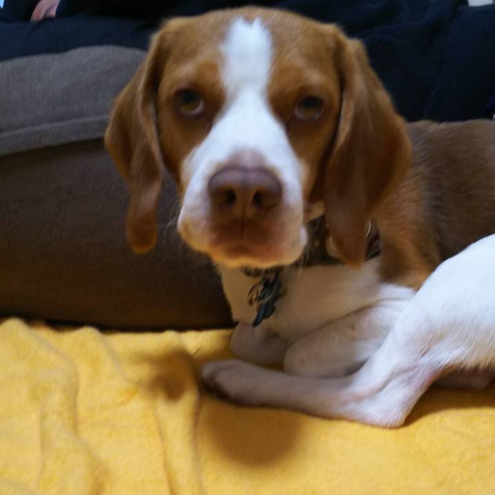 45728088 15bb 41d4 8e1e 4ad103373024 1557134857586