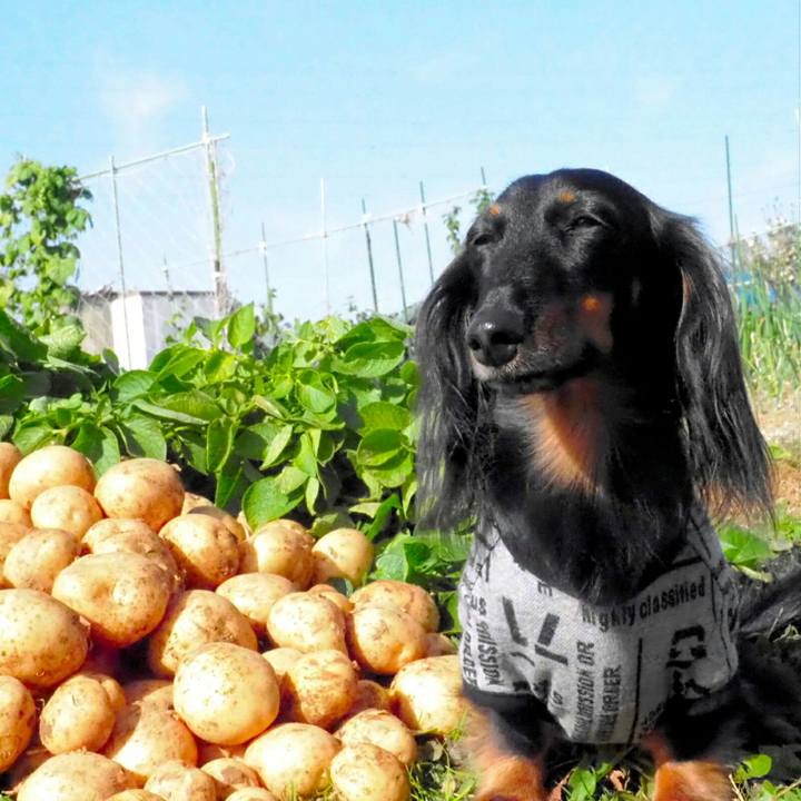 4572b7fe d4f9 48e0 be03 b1c55b5f1389 1543545137373