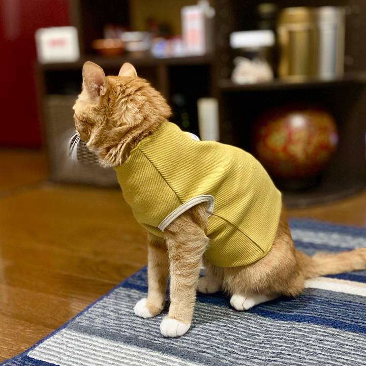 4572c4b5 3274 4451 b8d1 9727cc31eb22 1762988262156