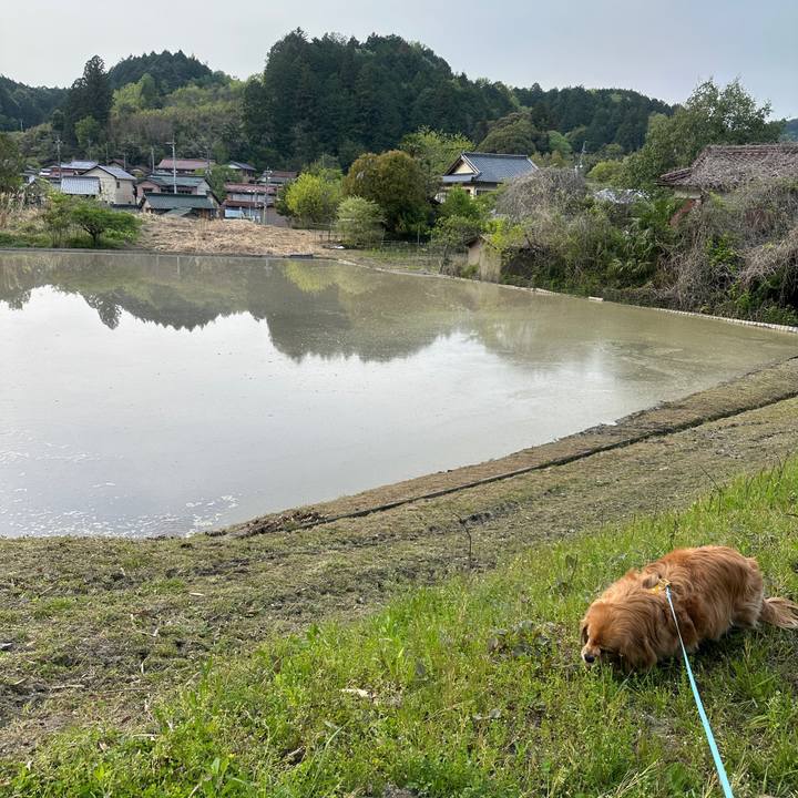 4572d884 abce 42c8 a523 5653354e70b3 1745788423194