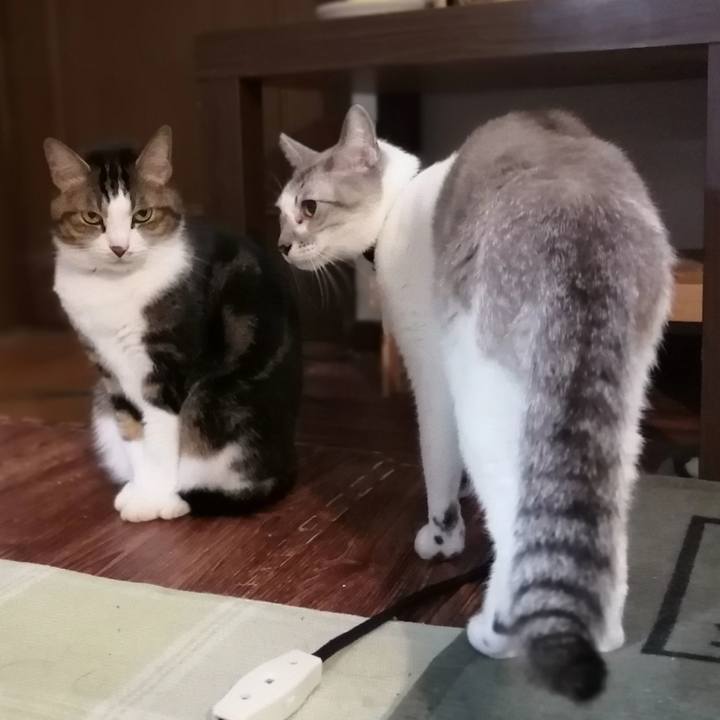 4572da29 04fc 41f3 acab 0aa04a115697 1580290645202