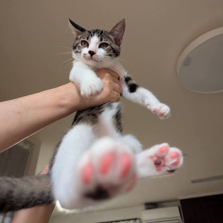 45730a02 aaf7 49be b3af 2acb26322fdf 1722734039322