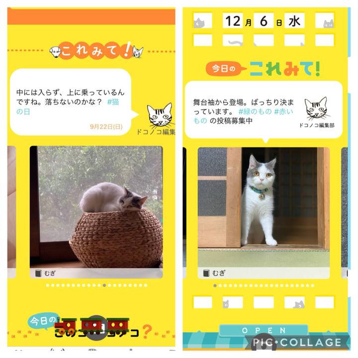 45733584 979a 4218 b848 ee98807f3a7c 1701941114475