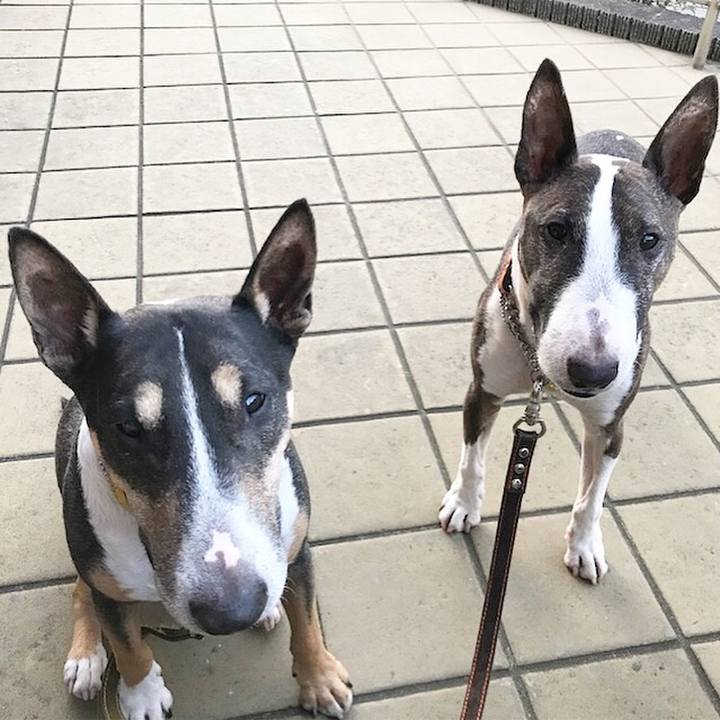 45734c96 5150 4a64 8377 1ccdcf2d780a 1510470727214