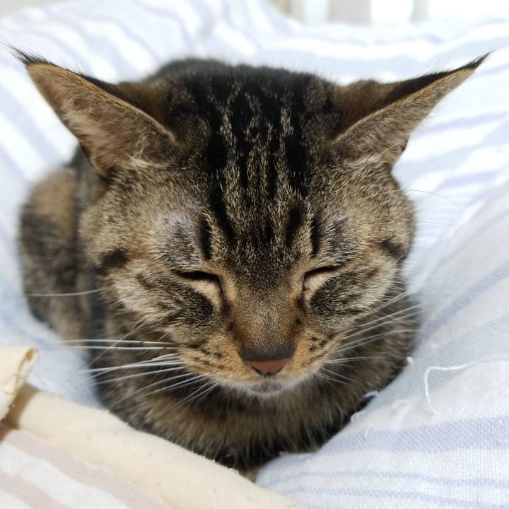 45736d33 9183 4d24 8ba2 d415ce44c278 1586899551735