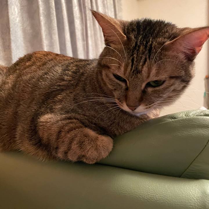 45737478 7f8e 4337 8d2c 3ff203f83a98 1643721234930