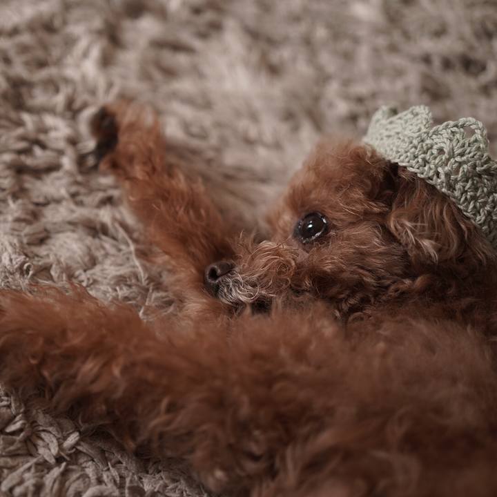 4573a457 72d5 41b2 805c 816ed39d7b94 1699879840533