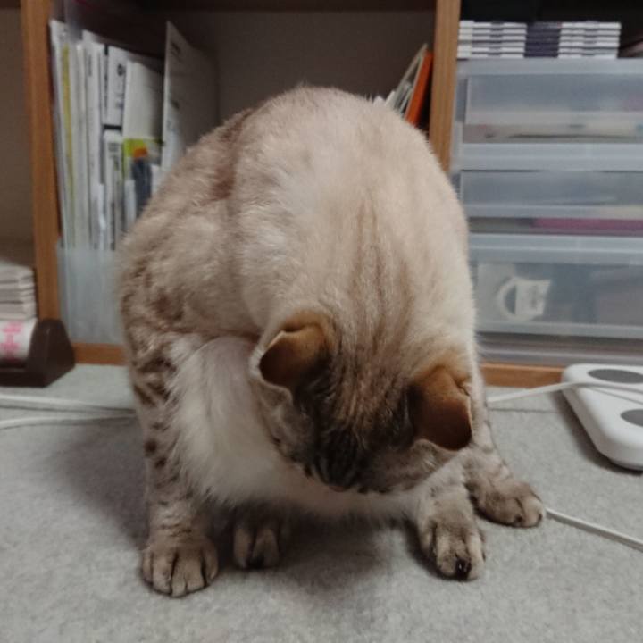 4573a59c 5287 4f7a 9e1a 733a6f5cb86b 1516113488031