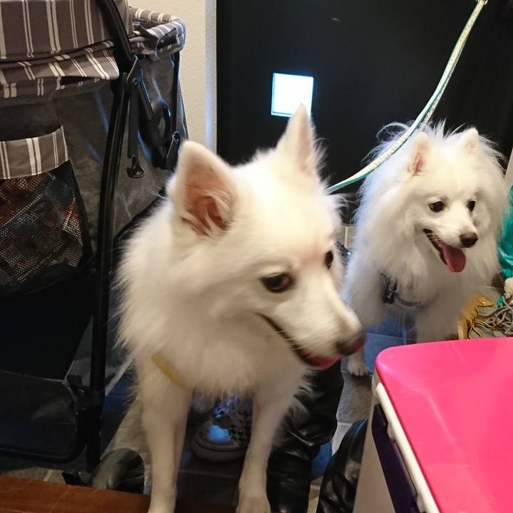 4573a8a5 0cb2 48f4 bfba c0cda932acdf 1605250495709